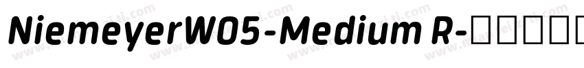 NiemeyerW05-Medium R字体转换